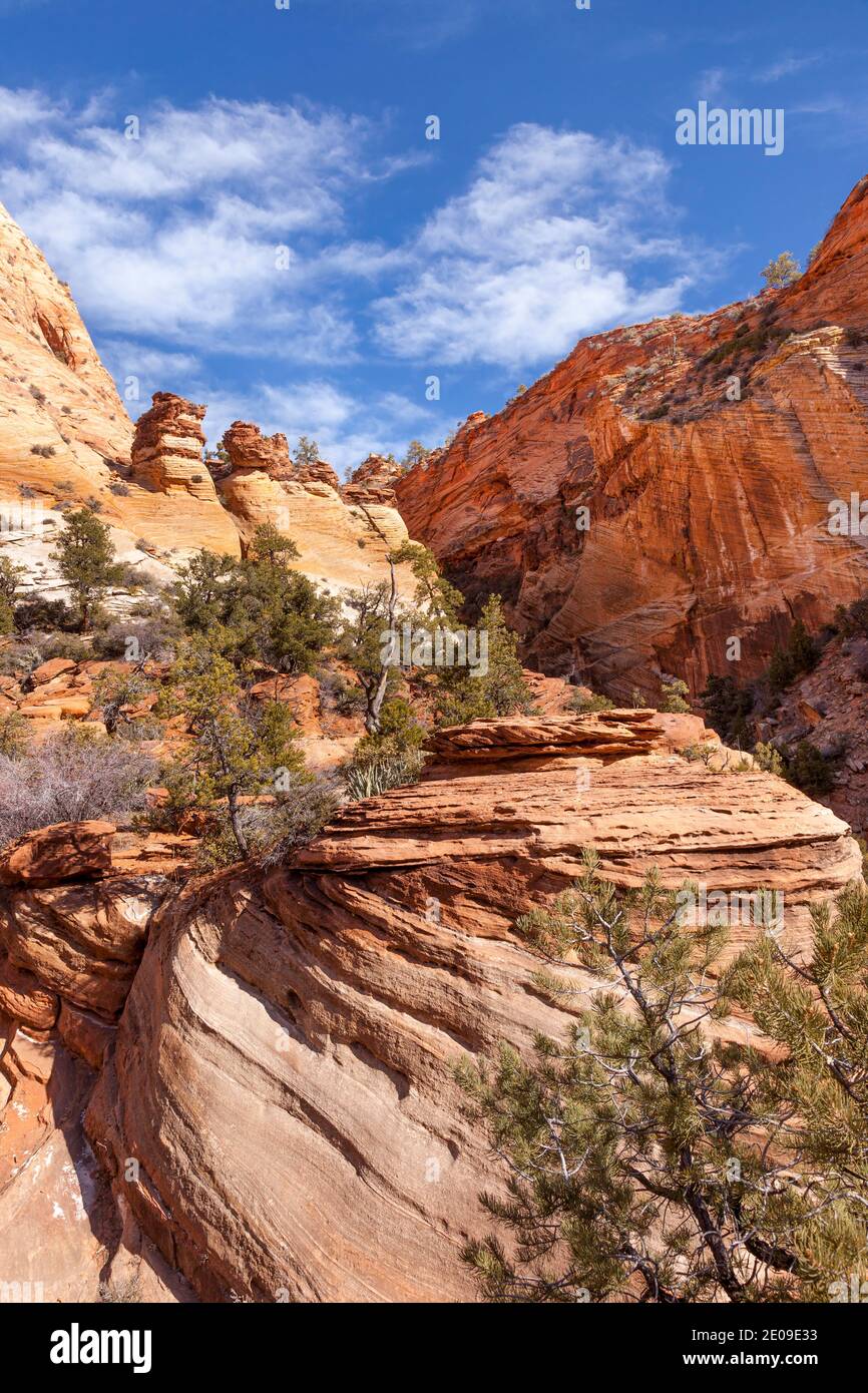 Le formazioni rocciose, Zion National Park nello Utah Stati Uniti d'America Foto Stock