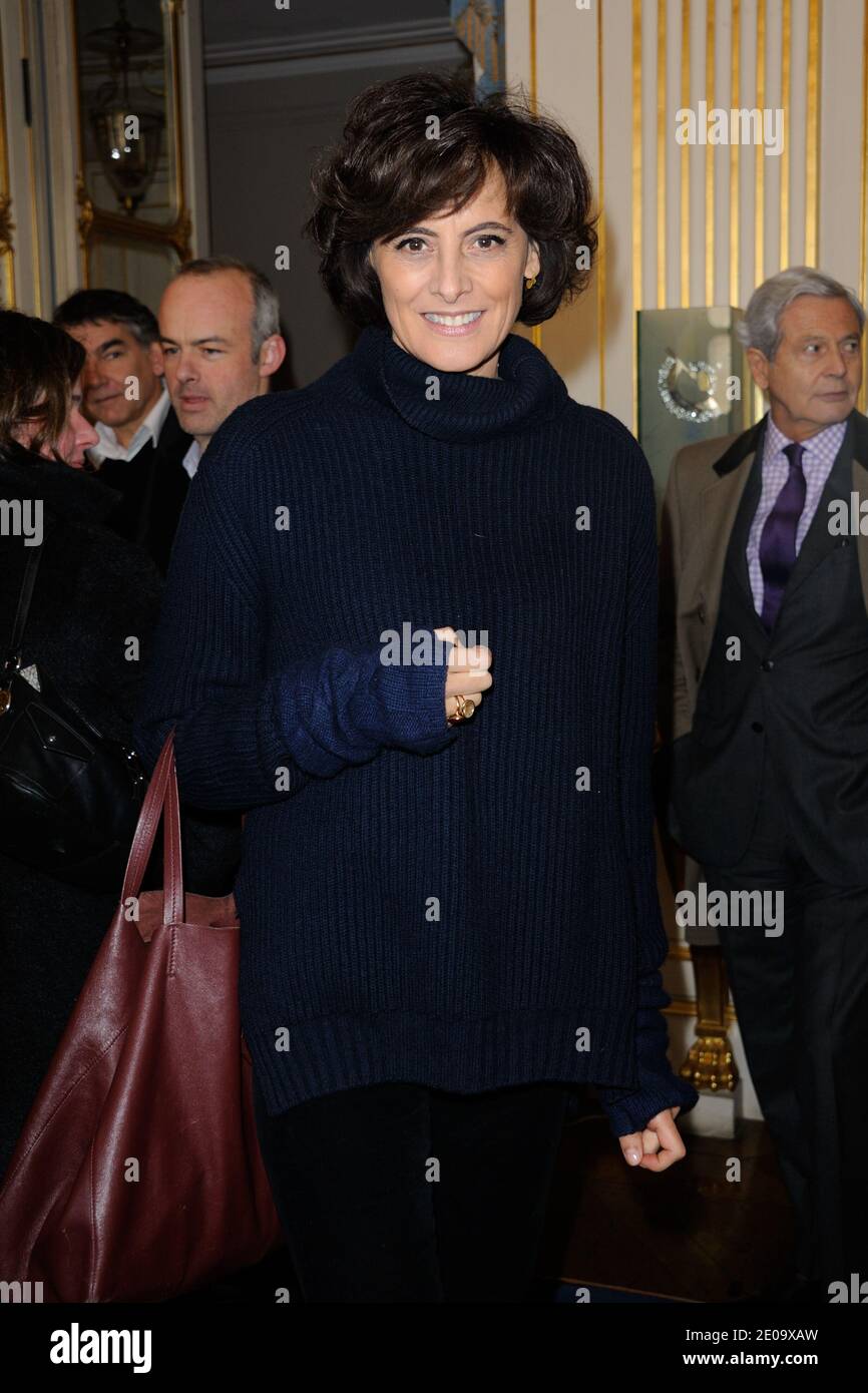 Ines de la Fressange in occasione di una cerimonia di premiazione di Jean-Paul Goude e Jean-Marie Perier presso la sede del Ministero della Cultura, a Parigi, Francia, l'8 febbraio 2012. Foto di Alban Wyters/ABACAPRESS.COM Foto Stock