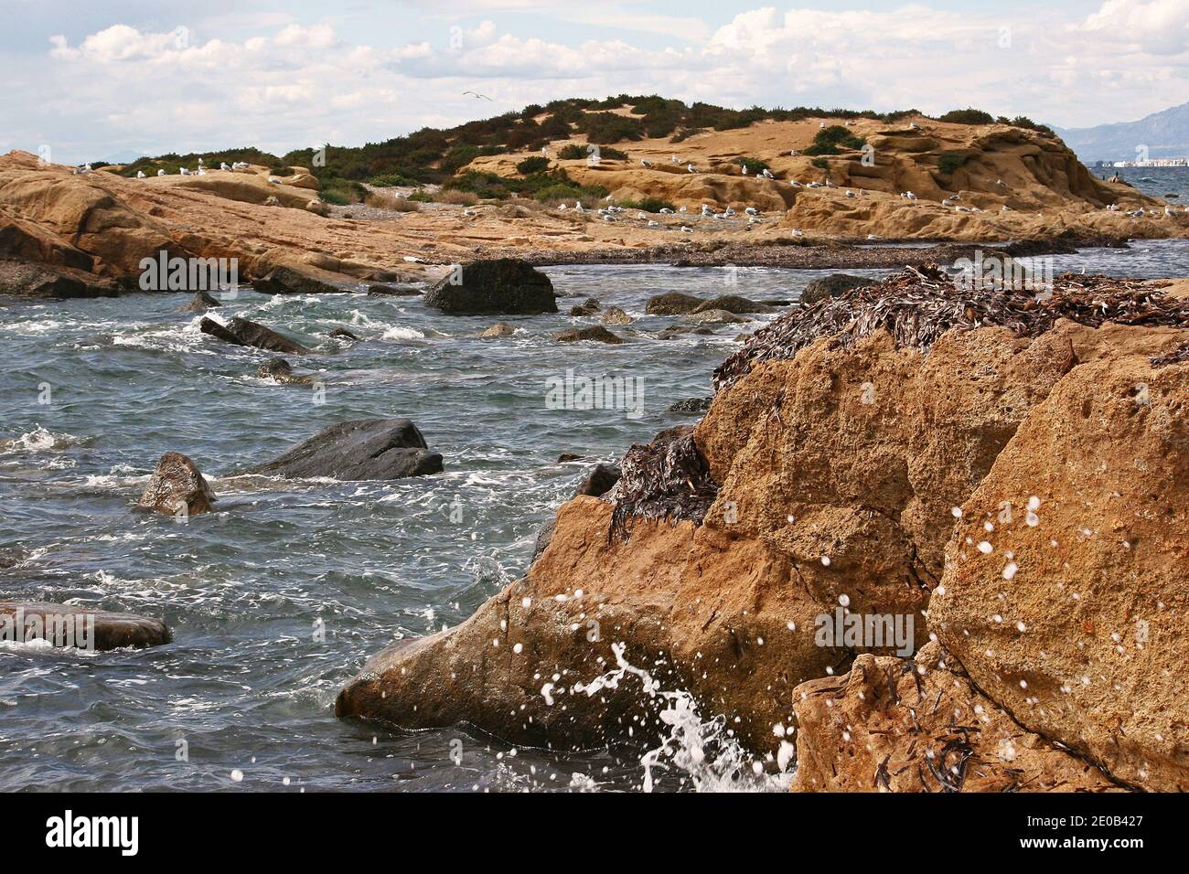 Parte dell'aspra costa dell'isola di Tabarca, al largo della Costa Blanca della Spagna vicino a Santa Pola. Intorno all'isola c'è un porto sicuro. Foto Stock