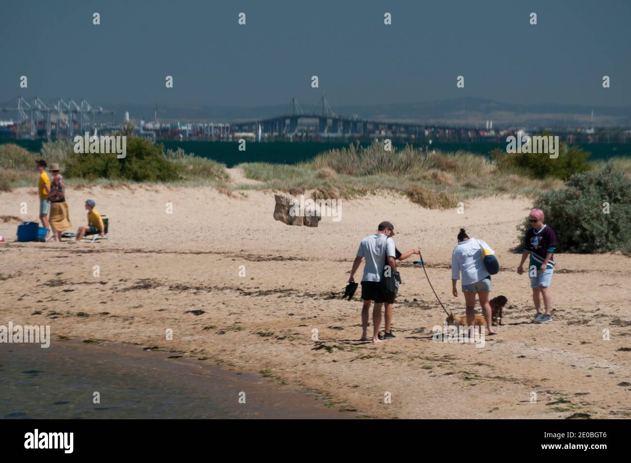 Westgate Bridge visto dalla Middle Brighton 'Dog Beach' a Port Phillip Bay, Melbourne Foto Stock