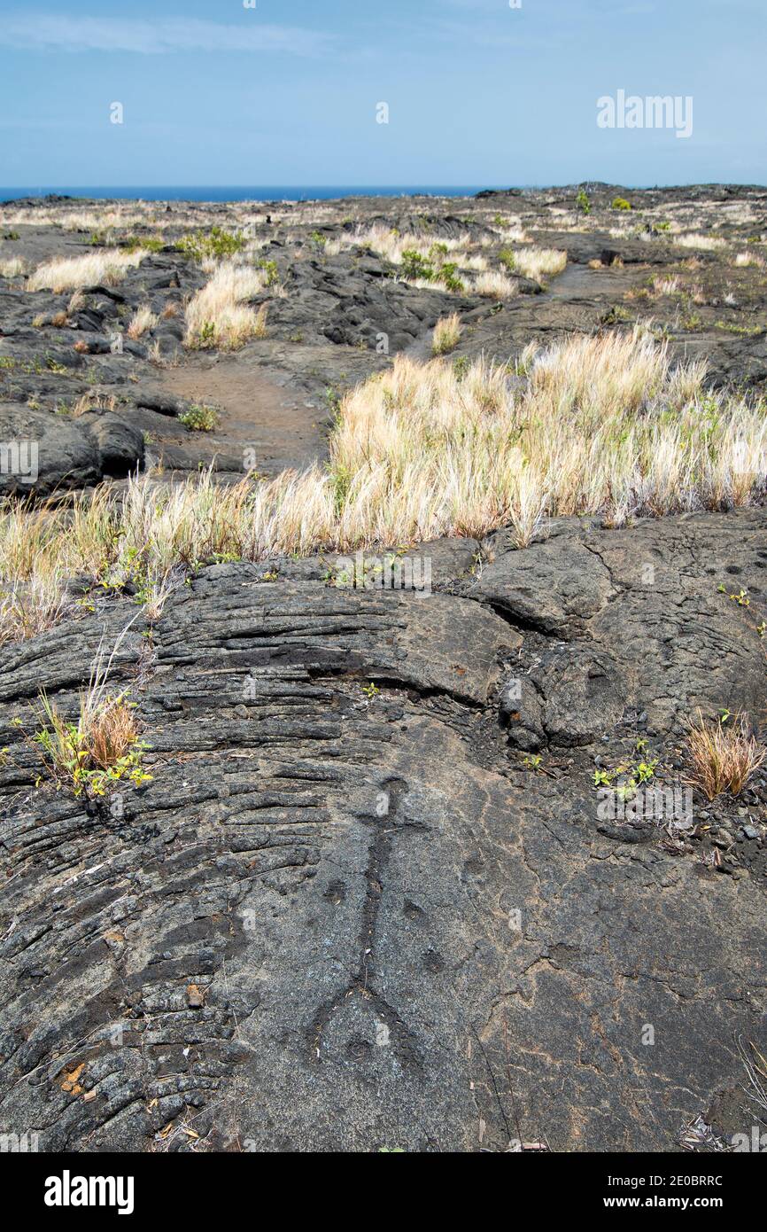 Pu`u Loa Petroglifi. Parco Nazionale dei Vulcani, Big Island Hawaii Foto Stock