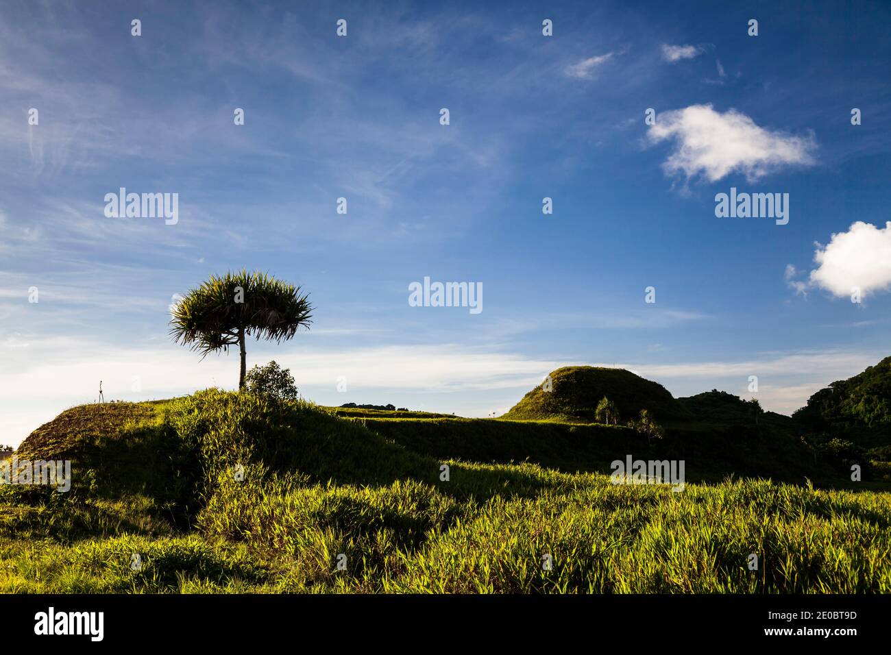 Ked Ra Ngchemiangel, Kamyangel terrazze, semplicemente 'Ked' o 'terrazza', antica collina a schiera fatta dall'uomo, Isola di Babeldaob, Palau, Micronesia, Oceania Foto Stock