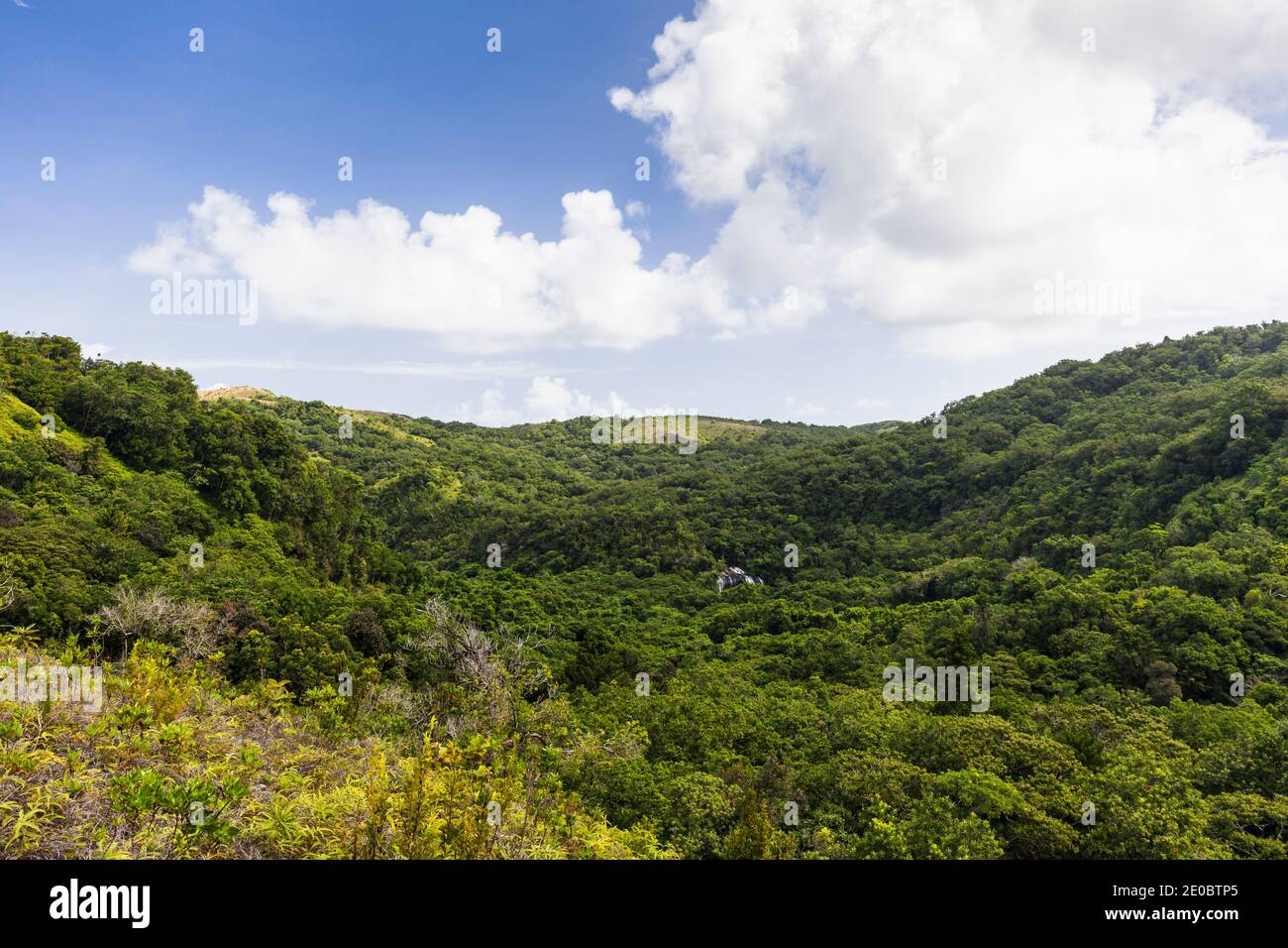 Vista a distanza della cascata di Ngardmau e profondo jngule della montagna foresta pluviale, Ngardmau, Isola di Babeldaob, Palau, Micronesia, Oceania Foto Stock