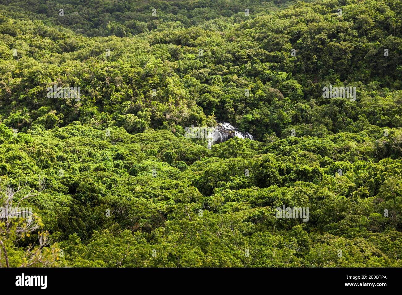 Vista a distanza della cascata di Ngardmau e profondo jngule della montagna foresta pluviale, Ngardmau, Isola di Babeldaob, Palau, Micronesia, Oceania Foto Stock
