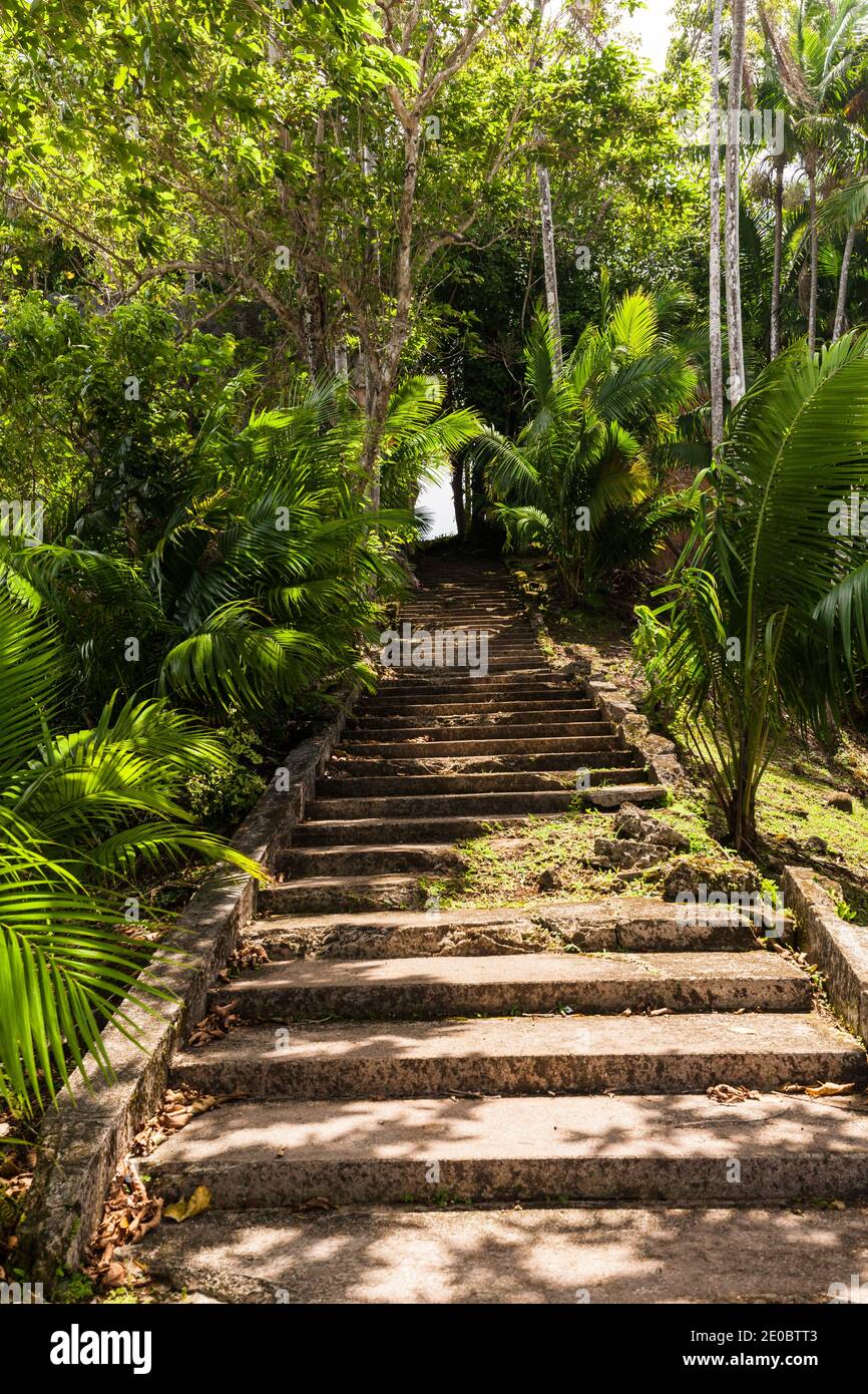 Passi per le rovine del faro giapponese della seconda Guerra Mondiale, Ngarchelong, penisola Arekalong, Isola di Babeldaob, Palau, Micronesia, Oceania Foto Stock