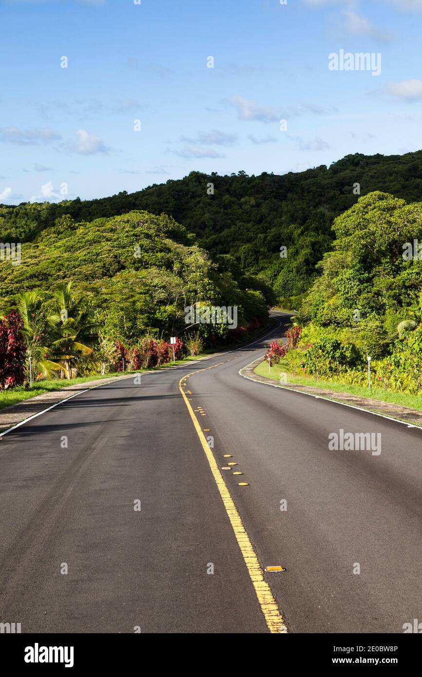 Strada nazionale principale che corre nella foresta pluviale, Compact Road, Ngchesar, Isola di Babeldaob, Palau, Micronesia, Oceania Foto Stock
