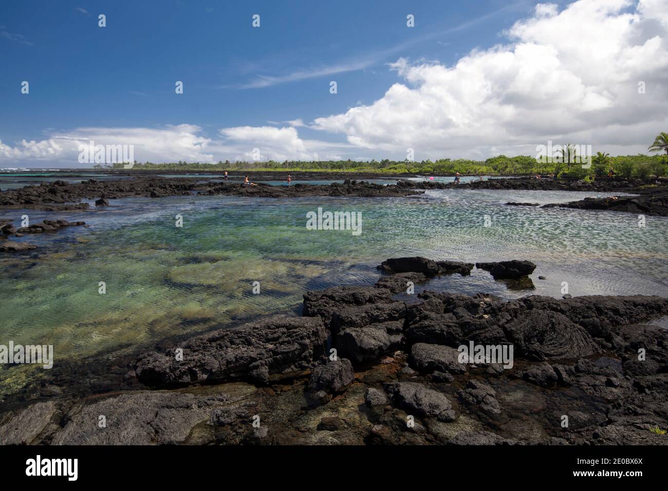 Piscine maree di Kapoho, snorkeling. Big Island, Hawaii Foto Stock