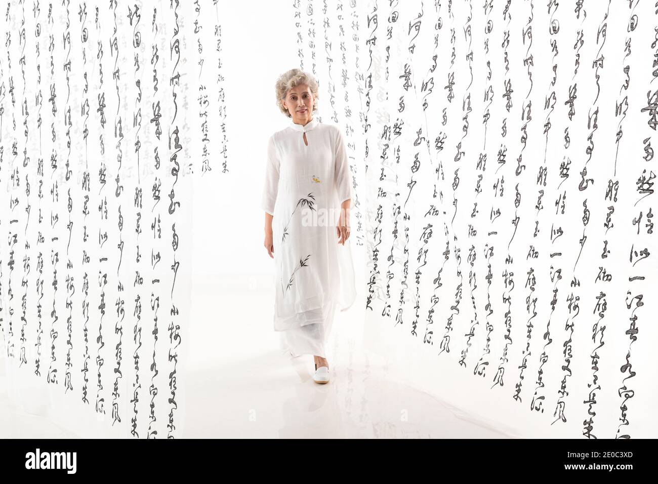 Eleganti donne anziane Foto Stock