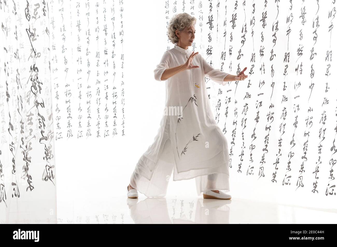 Eleganti donne anziane Foto Stock