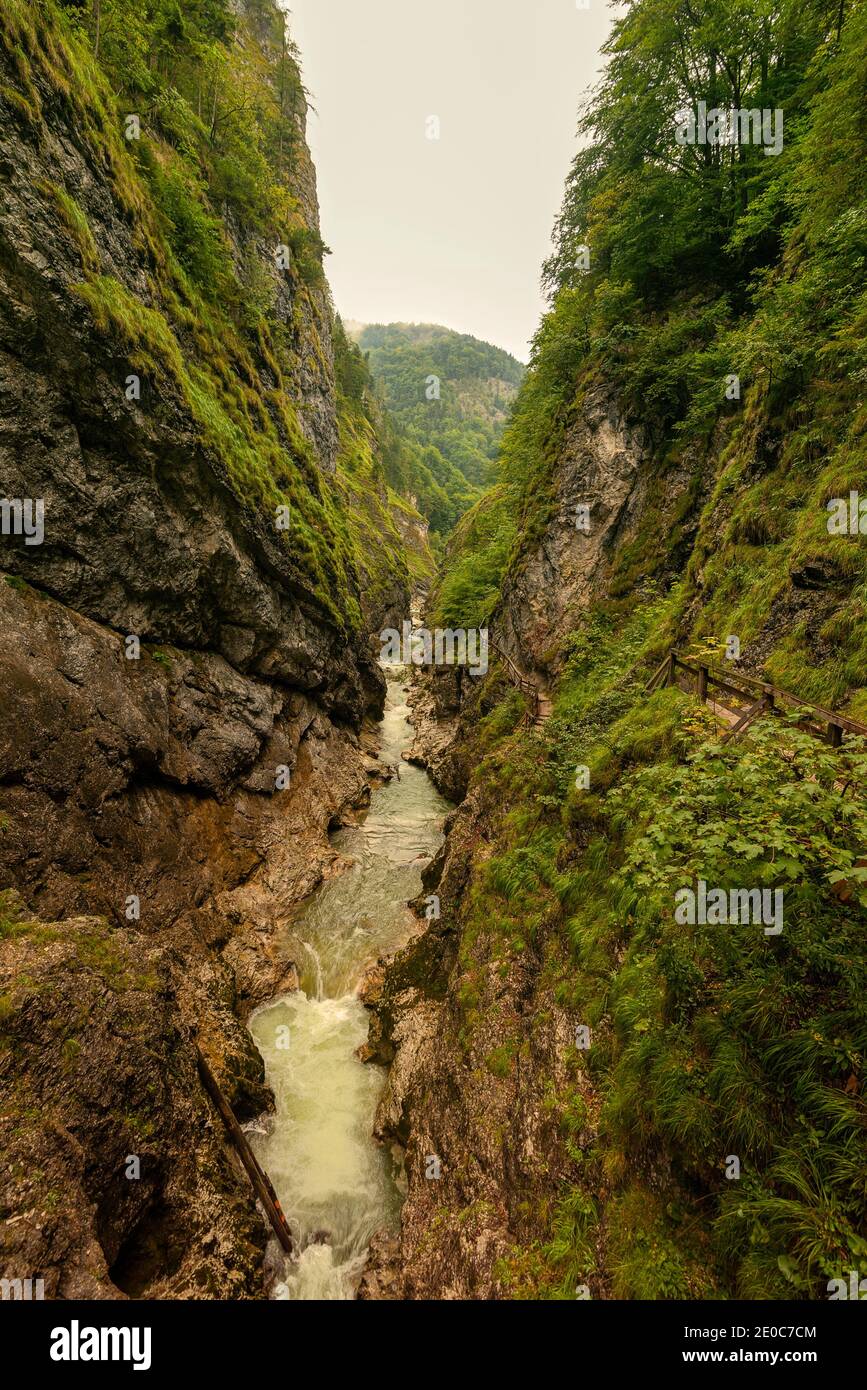 Lammerklamm Gorge nella regione Salzkammergut in Austria Superiore. Blu fiume alpino tra strette pareti rocciose ricoperti di vegetazione verde e alberi Foto Stock
