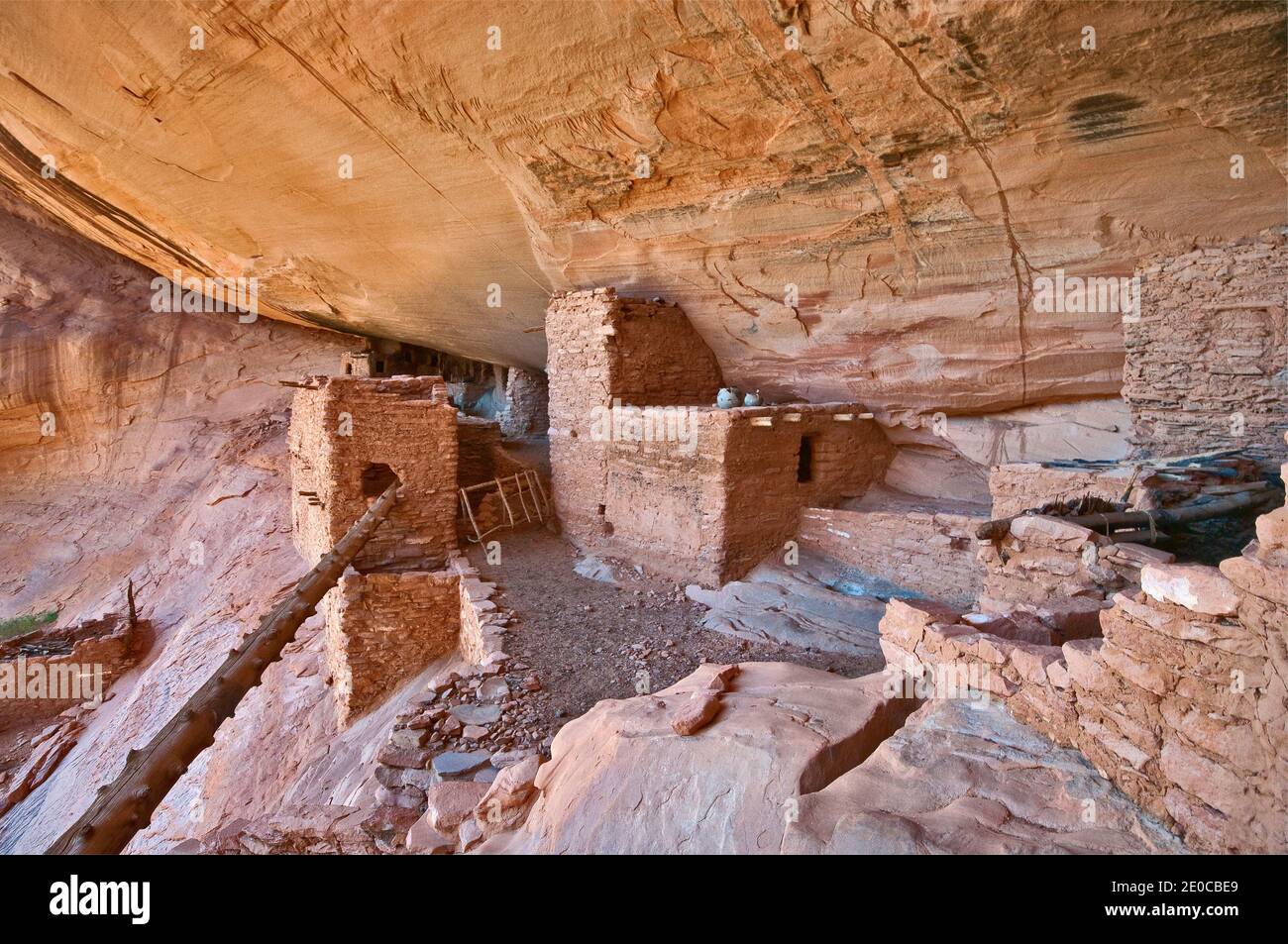 Keet Seel rovine a Navajo National Monument, Shonto altopiano, Arizona, Stati Uniti d'America Foto Stock