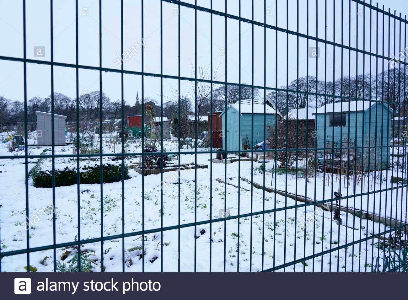 Edimburgo, Scozia, Regno Unito. 31 dicembre 2020. Neve pesante nel parco di Inverleith con gli allotti comunali coperti di neve. Credit: Craig Brown/Alamy Live News Foto Stock