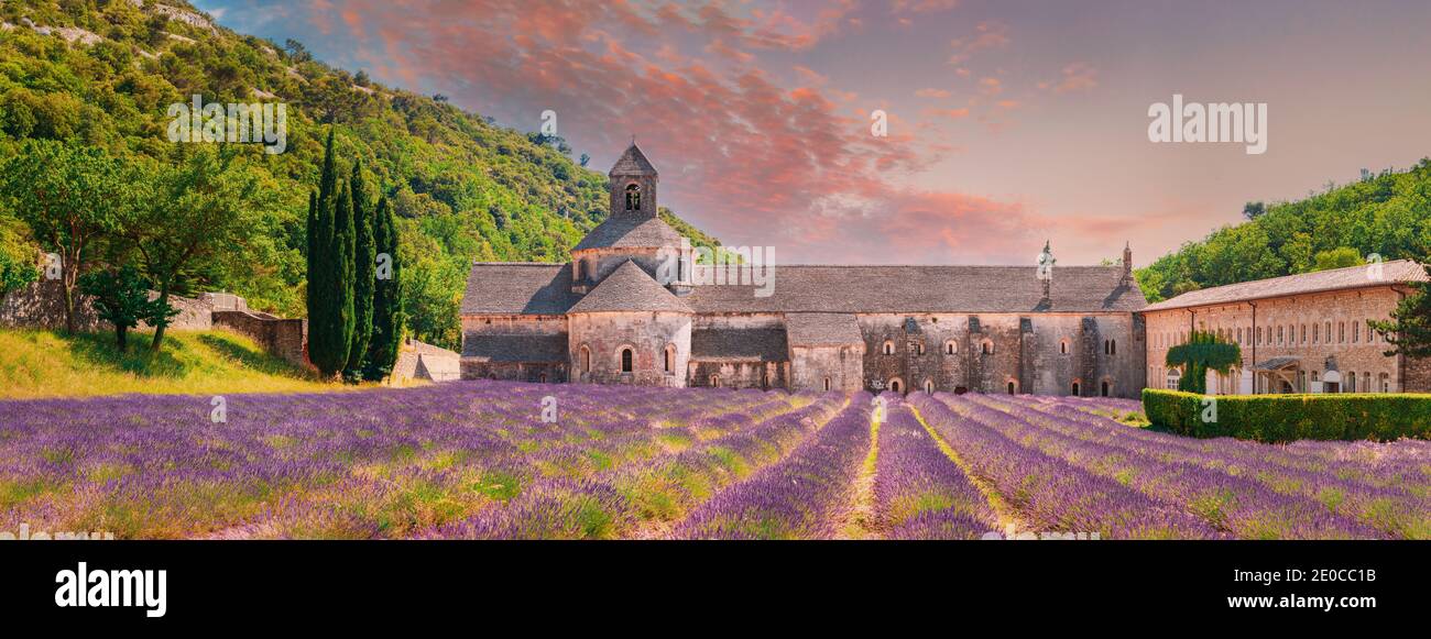 Abbazia di Notre-dame De Senanque, Vaucluse, Francia. Bellissimo campo di lavanda paesaggistica e un antico monastero Abbaye Notre-dame De Senanque. Elevato Foto Stock