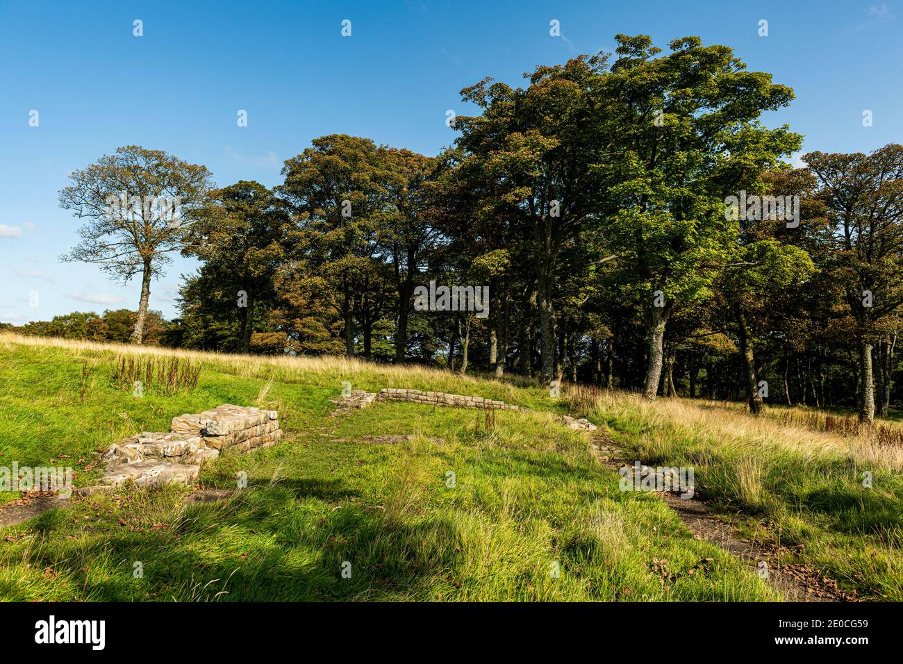 Resti di Bar Hill Fort, Antonine Wall, patrimonio dell'umanità dell'UNESCO, Scozia, Regno Unito, Europa Foto Stock