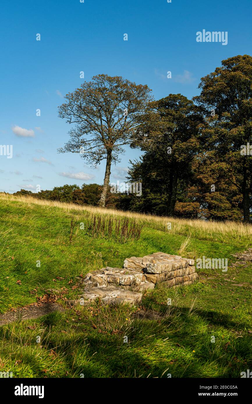 Resti di Bar Hill Fort, Antonine Wall, patrimonio dell'umanità dell'UNESCO, Scozia, Regno Unito, Europa Foto Stock