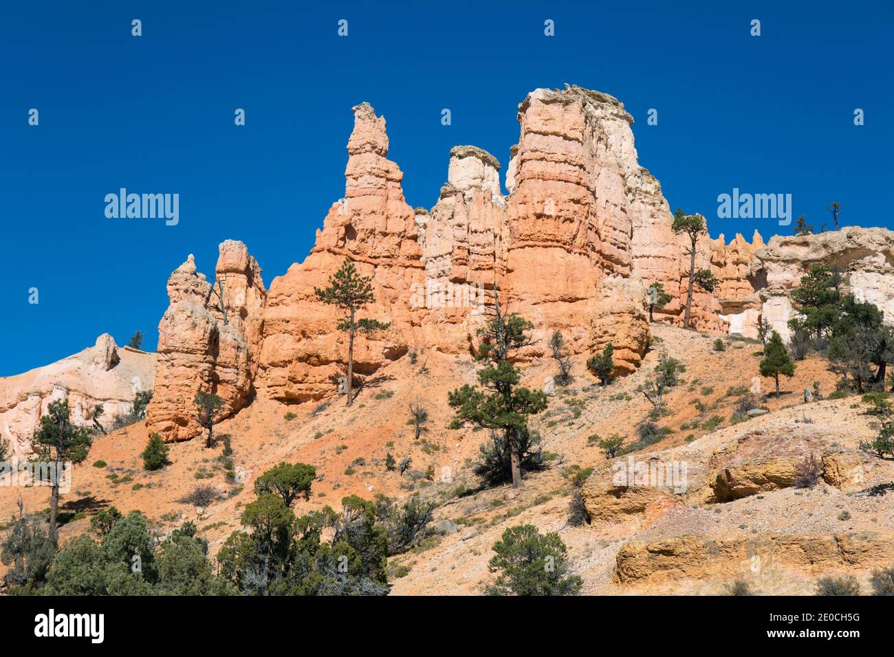 Tipici hoodoos rocciosi che sovrastano il Mossy Cave Trail, il Water Canyon, il Bryce Canyon National Park, lo Utah, gli Stati Uniti d'America Foto Stock