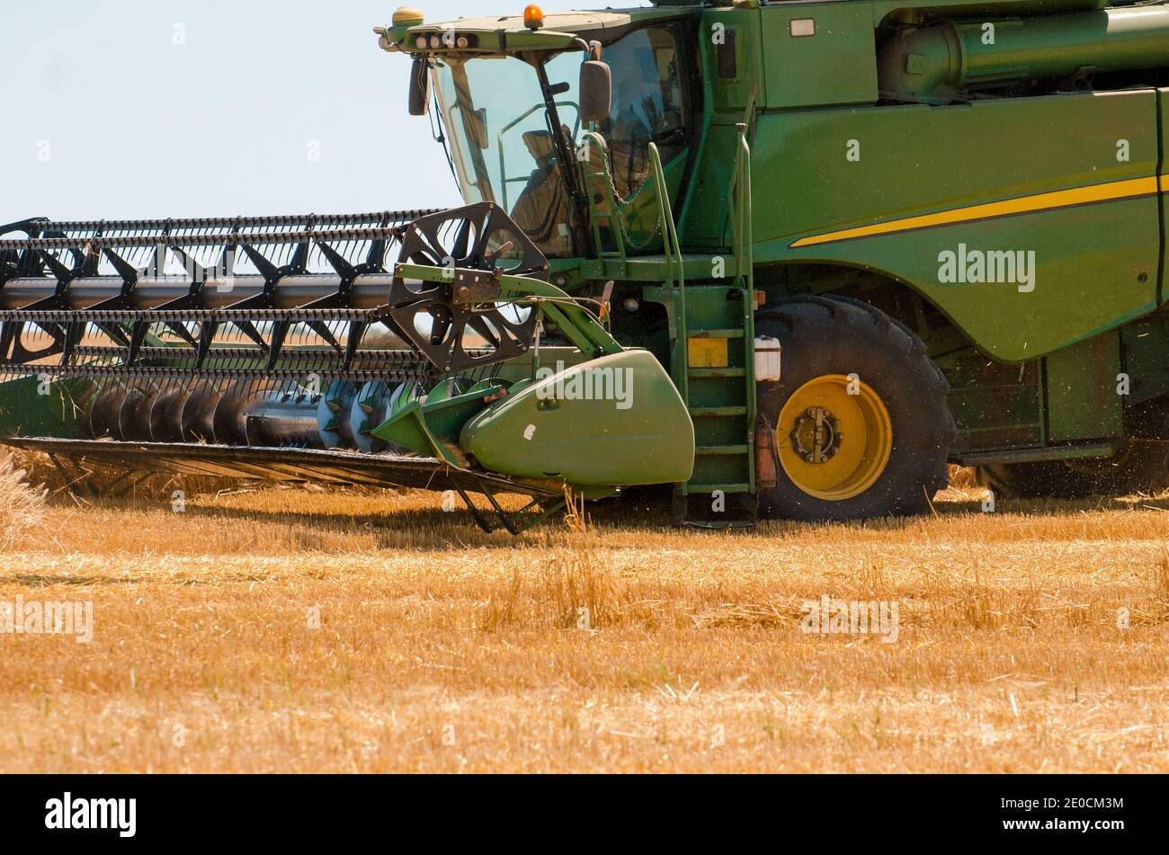 Macchine agricole raccoglie raccolto di grano giallo in campo aperto su una giornata soleggiata e luminosa Foto Stock