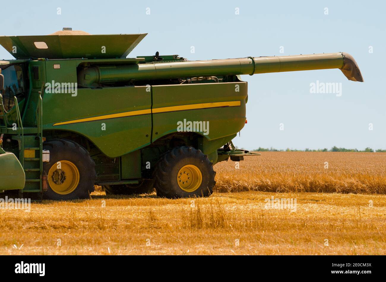 Macchine agricole raccoglie raccolto di grano giallo in campo aperto su una giornata soleggiata e luminosa Foto Stock