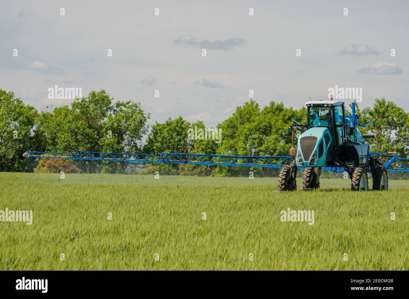 Irroratrici agricole, spruzzare sostanze chimiche sul grano giovane. Spruzzare pesticidi sul campo di grano con irroratrice Foto Stock