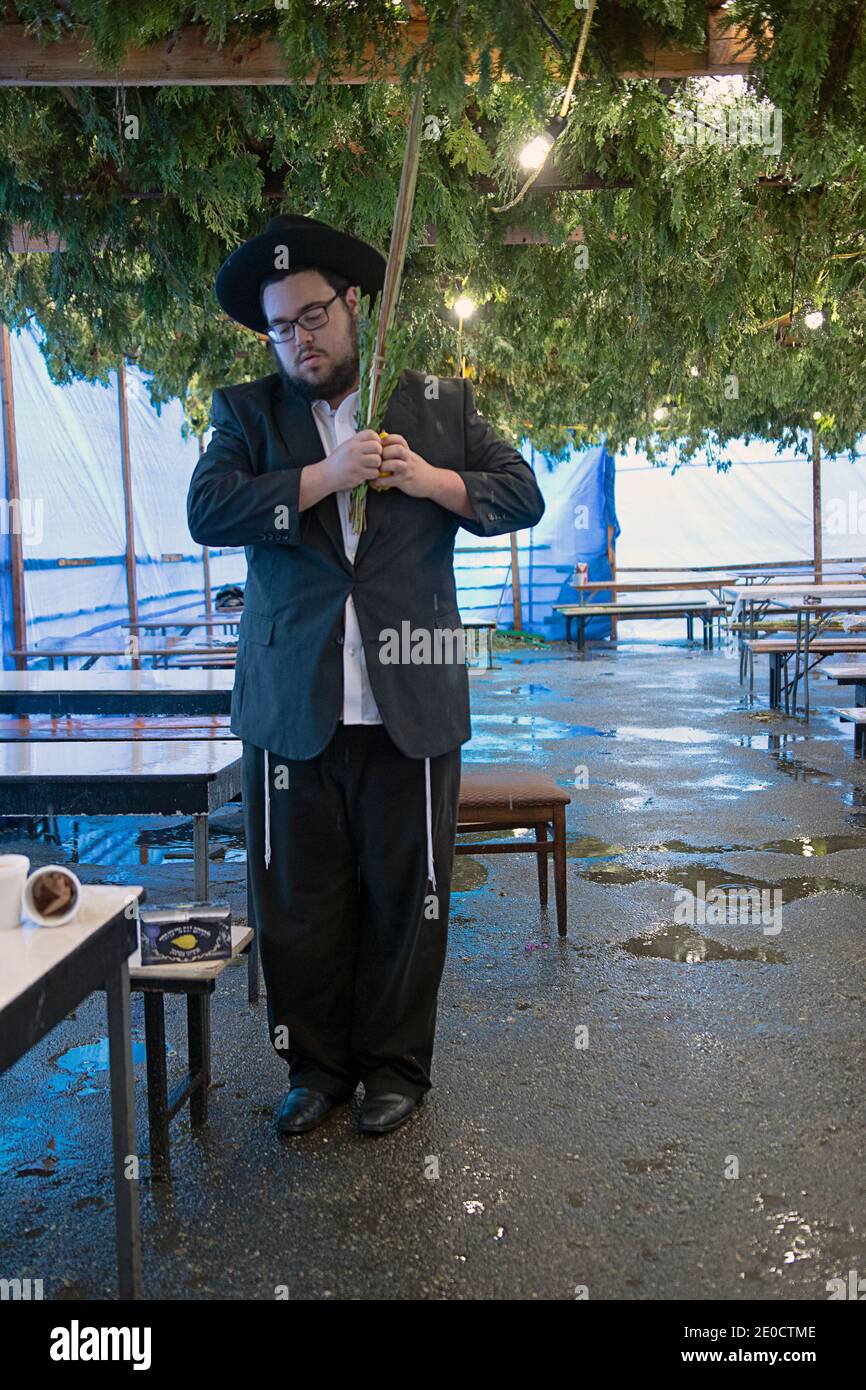 Un uomo ebreo ortodosso benedice le quattro specie di Sukkot in un Sukkah sotto la pioggia. Presso l'Ohel a Cambria Heights, Queens, New York City. Foto Stock