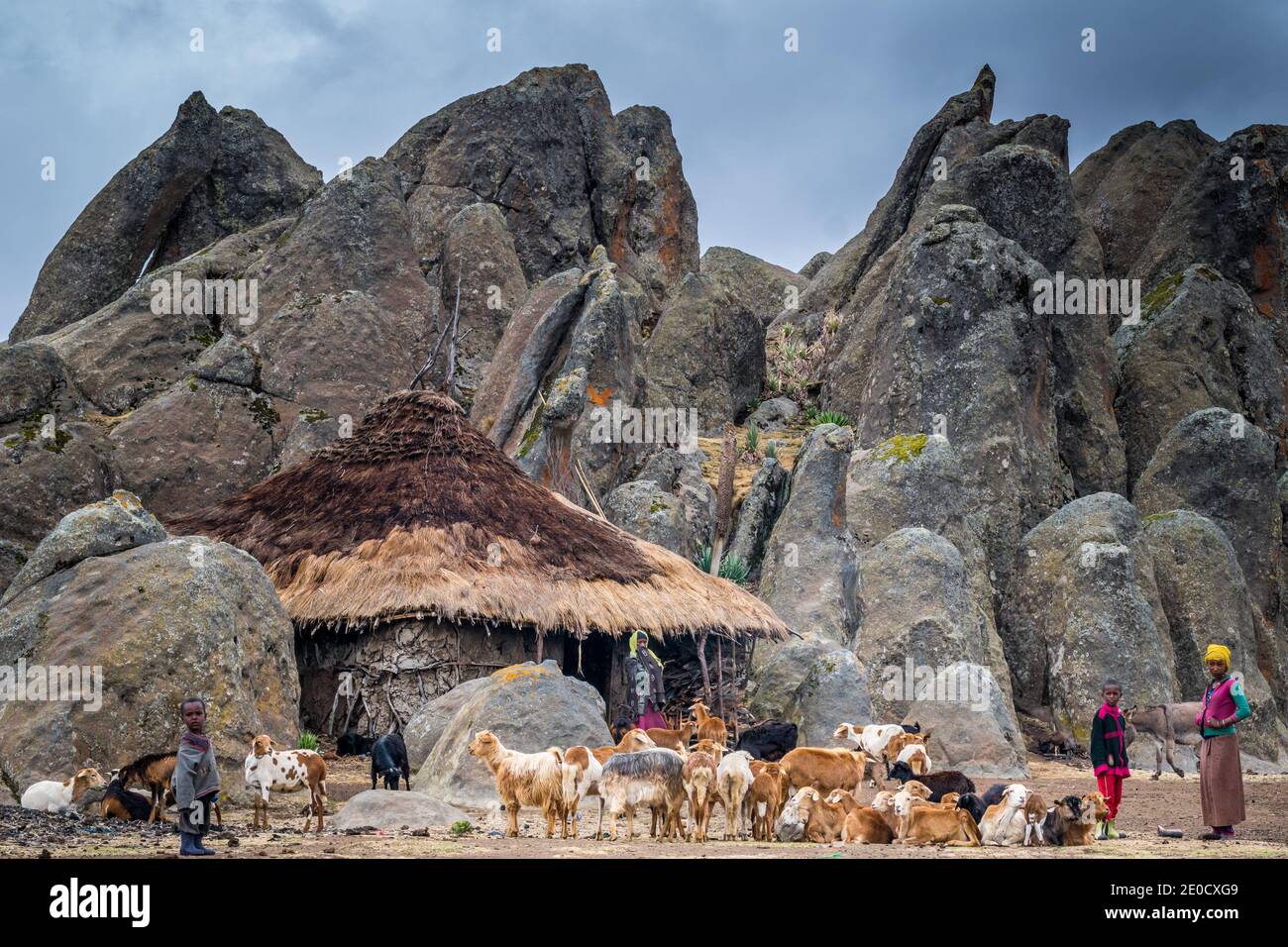 Altopiano di Sanetti, formazione rocciosa, granito, Parco nazionale delle montagne di Bale, Etiopia Foto Stock