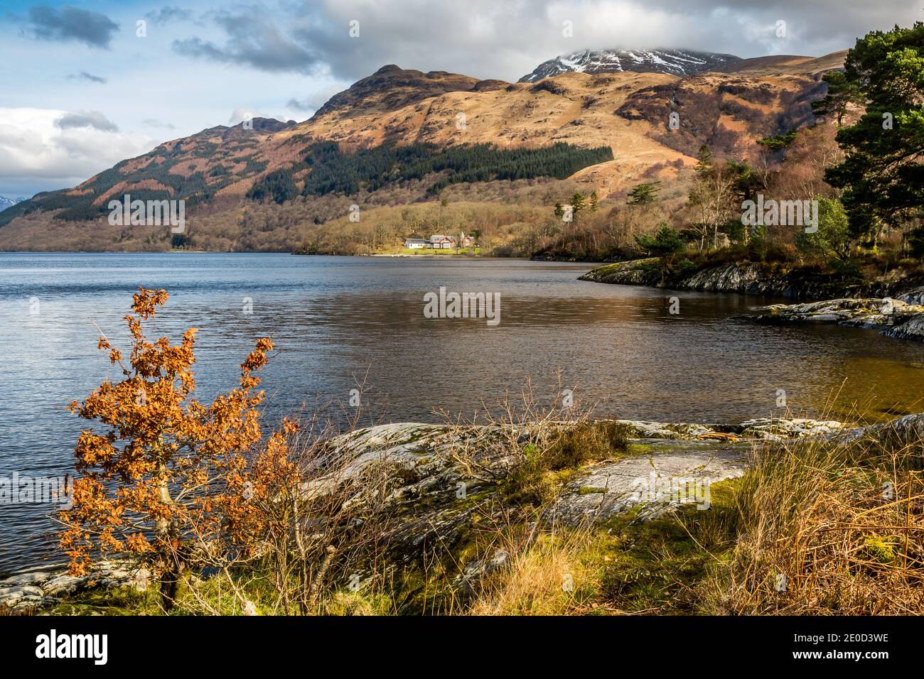 Vista della riva orientale di Loch Lomond e ben Lomond da Rowardennan, Scozia, Regno Unito Foto Stock