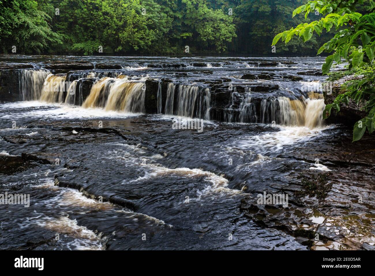Aysgarth Upper Falls, Wensleydale, North Yorkshire, Yorkshire Dales National Park, Inghilterra, Regno Unito Foto Stock