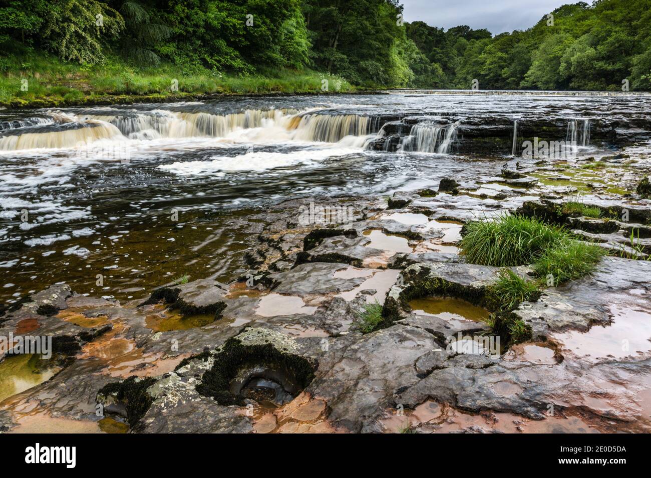 Aysgarth Lower Falls, Wensleydale, North Yorkshire, Yorkshire Dales National Park, Inghilterra, Regno Unito Foto Stock