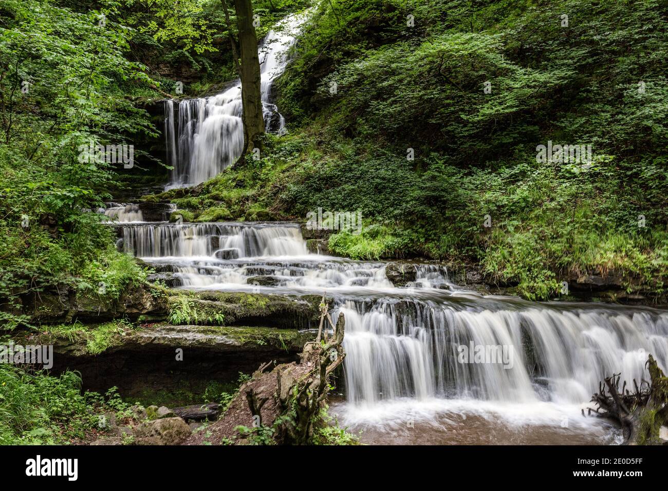 Scaleber Force Waterfall, Settle, Yorkshire Dales National Park, Inghilterra, Regno Unito Foto Stock