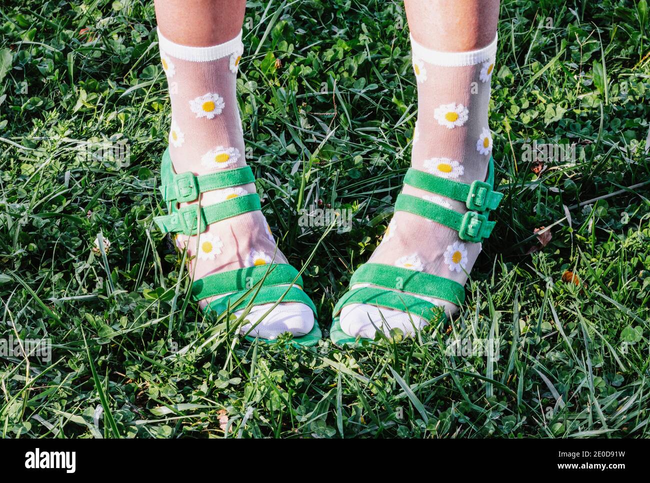 Gambe di raccolto anonimo femmina con sandali verdi e calzini con stampa di fiori camomilla mentre in piedi sul prato in estate il giorno di sole Foto Stock