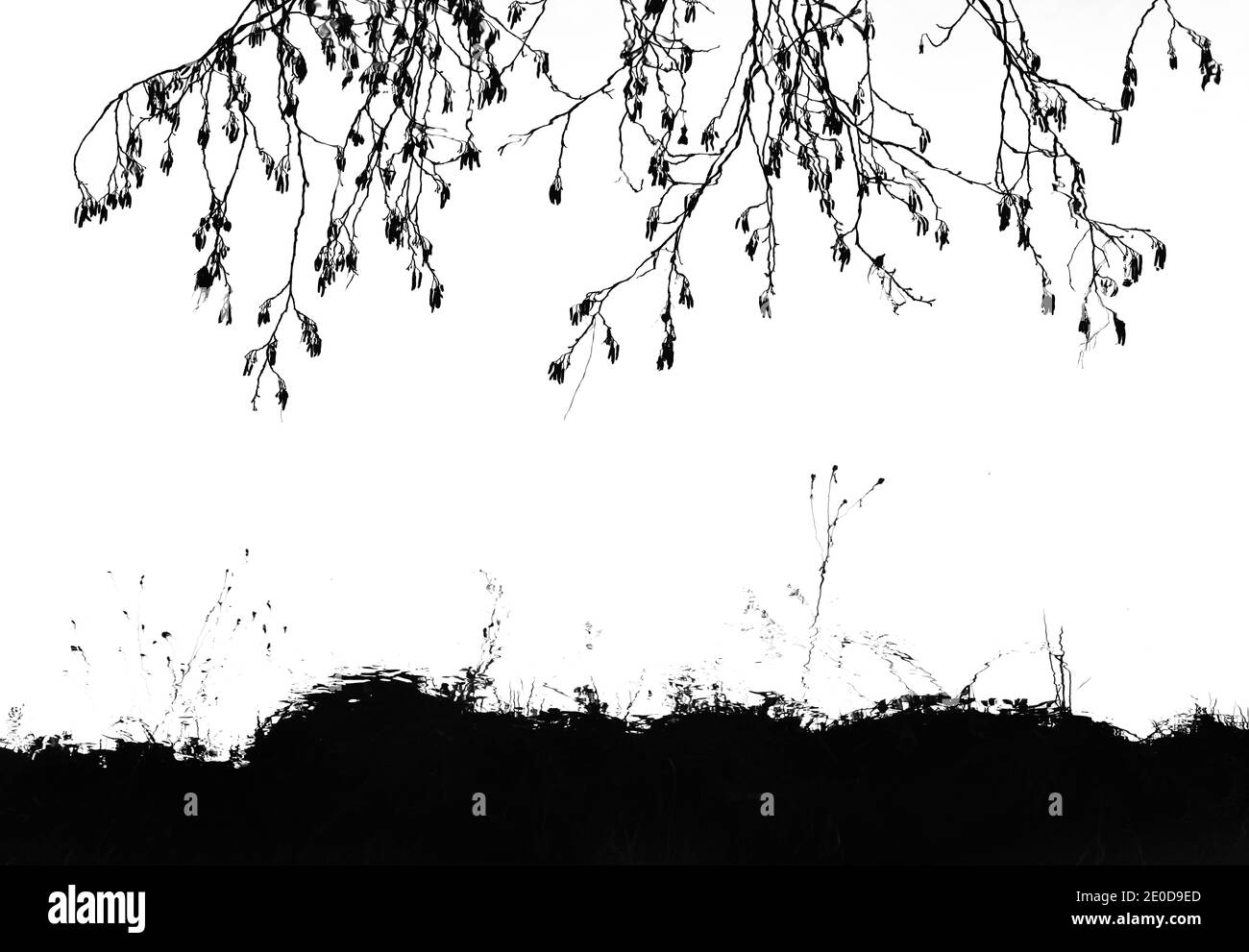 Riflessione delle rive di un fiume tranquillo, alla ricerca di una composizione equilibrata e minima in monocromia Foto Stock