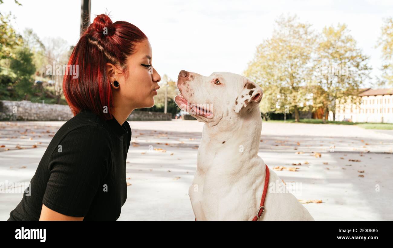 Giovane donna asiatica bacia obbediente purebred American Pit Bull Cane Terrier Foto Stock