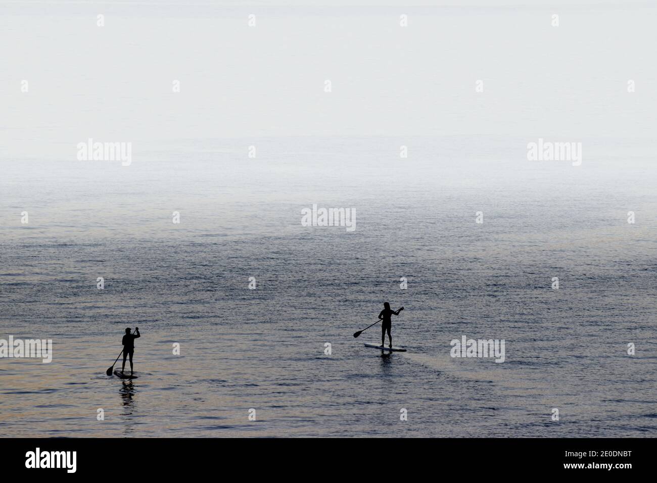 Paddle Boarding Stand Up paddle Boarding SUP al Dawn presto Mattina Foto Stock