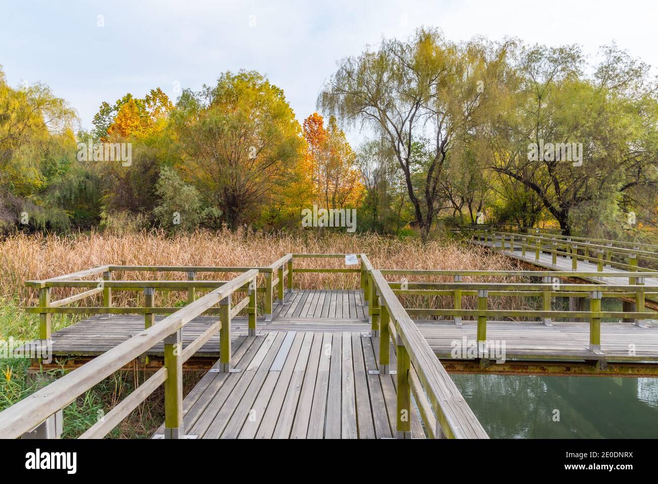 Parco lungo l'isola di Yeouido a Seoul, Repubblica di Corea Foto Stock