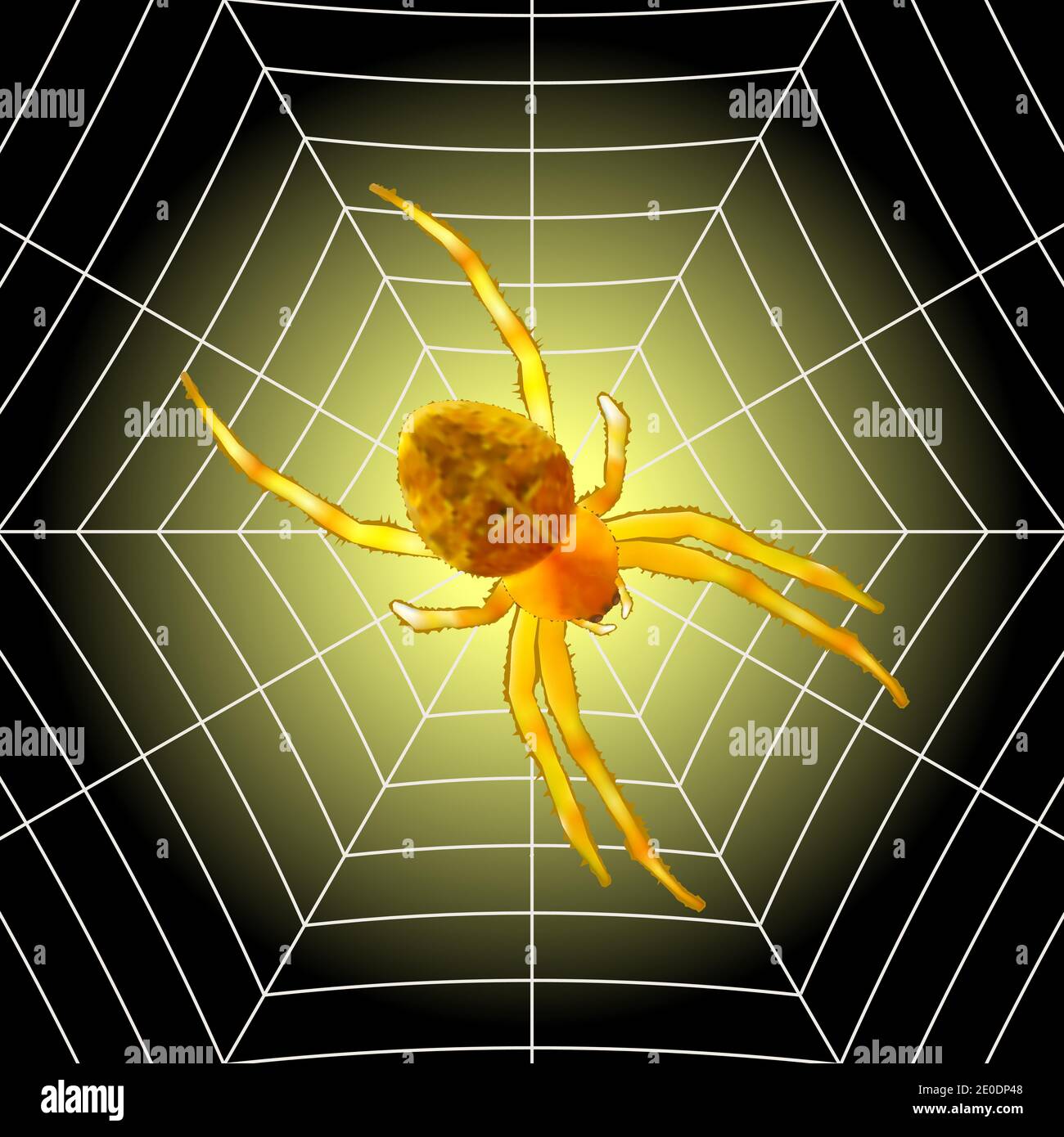 Scary Spider si trova su un nastro isolato su sfondo nero-giallo.illustrazione vettoriale. Illustrazione Vettoriale
