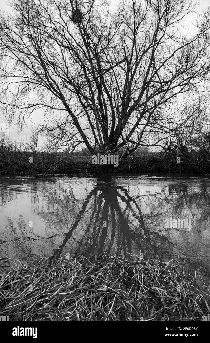 River Cam Grantchester Foto Stock