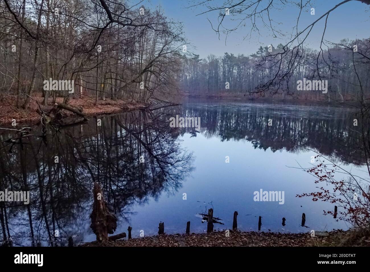 Lago Hubertussee a Berlino Frohnau in autunno Foto Stock