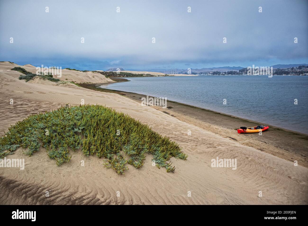 Vista della baia di Morro e della roccia di Morro dalla foresta di Elfin, il parco di Baywood, la contea di San Luis Obispo, la California, gli Stati Uniti Foto Stock