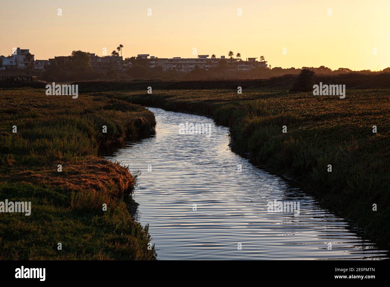 Ballona Wetlands state Ecological Reserve, Playa del Rey, Los Angeles, California, Stati Uniti Foto Stock