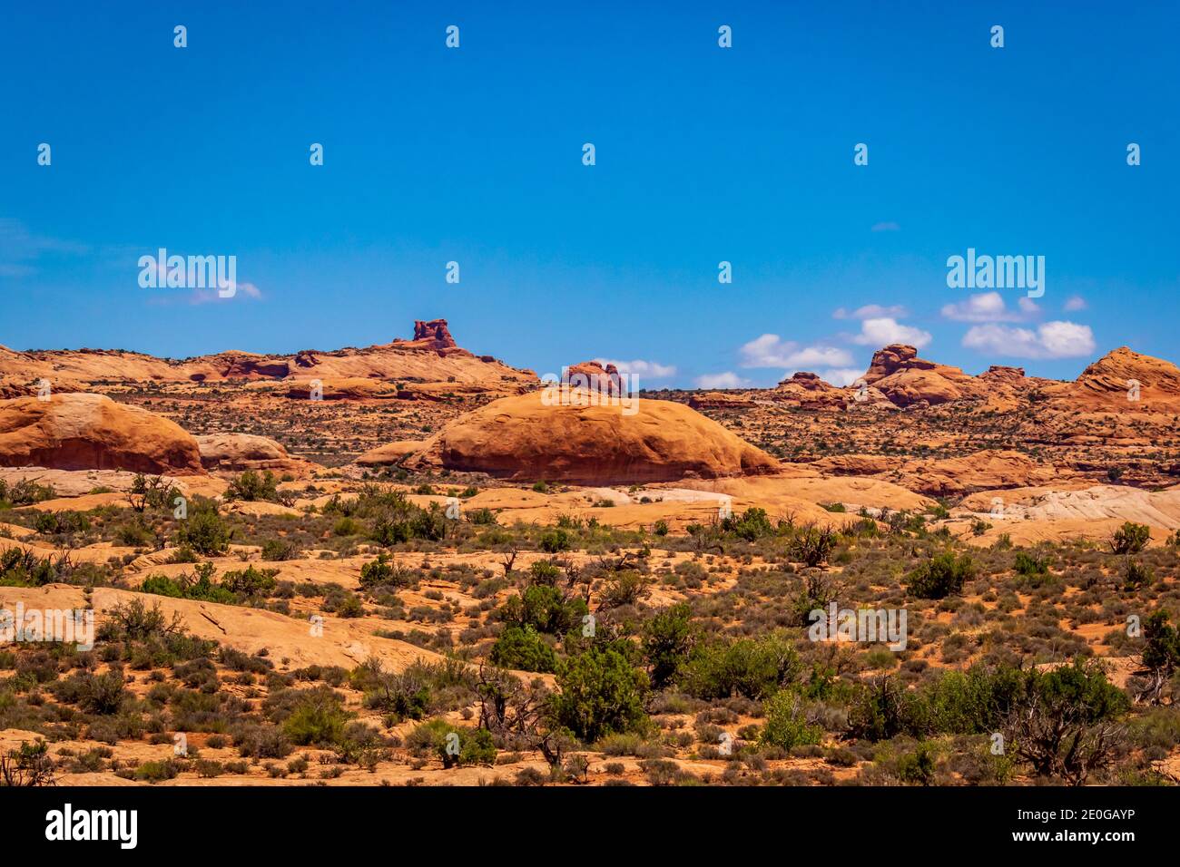Pietrificate dune nel Parco Nazionale di Arches, Utah Foto Stock