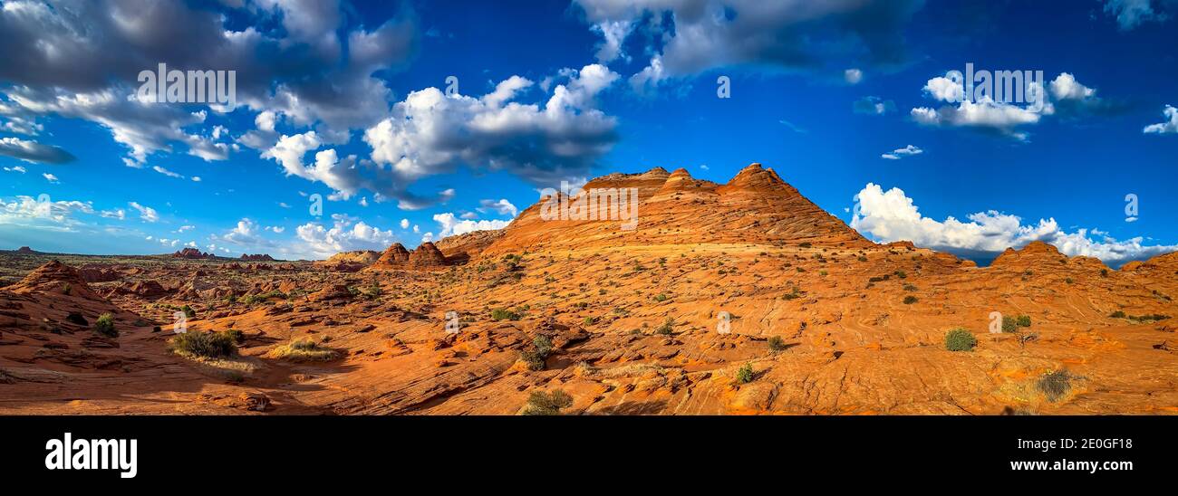 Formazioni rocciose di arenaria situate a Coyote Butte North, Arizona Foto Stock
