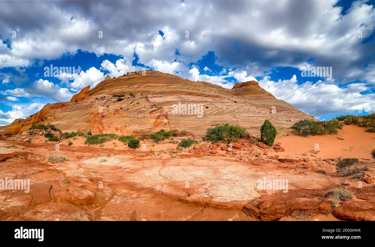 Formazioni rocciose di arenaria situate a Coyote Butte North, Arizona Foto Stock
