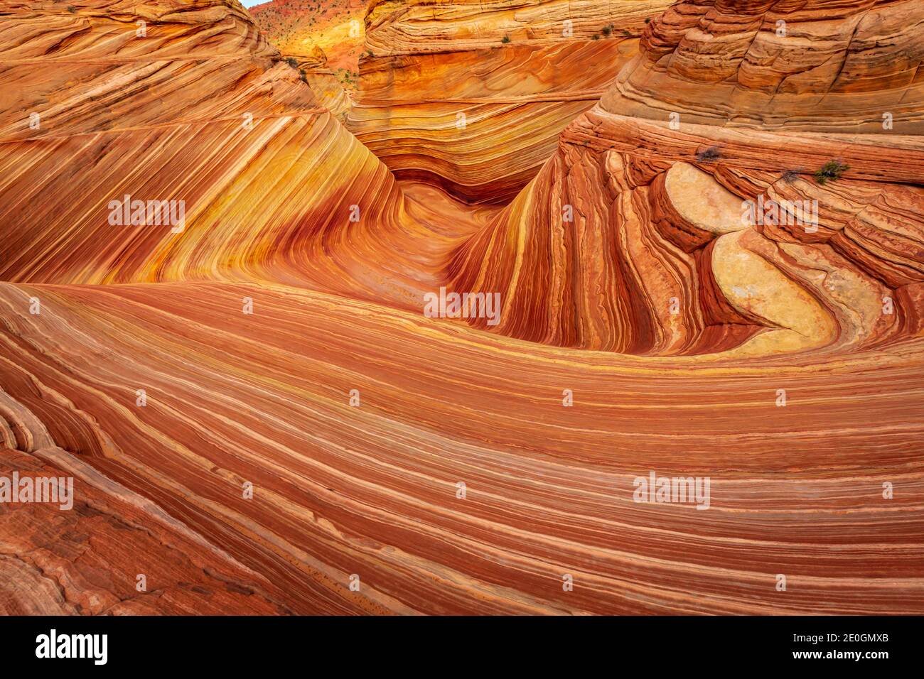 La Wave è una famosa formazione di pietra arenaria situata a Coyote Buttes, Arizona, conosciuta per le sue forme colorate e ondulate Foto Stock