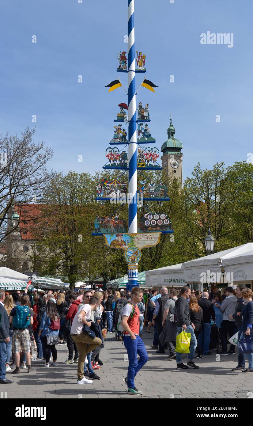 Maibaum, Viktualienmakt, Monaco di Baviera, Deutschland Foto Stock