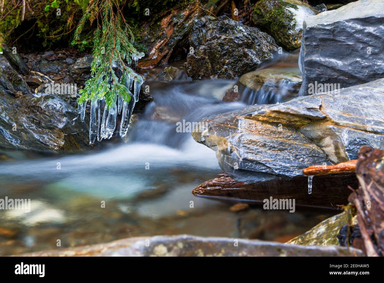 Cattura a lunga esposizione in un torrente in Svizzera Foto Stock