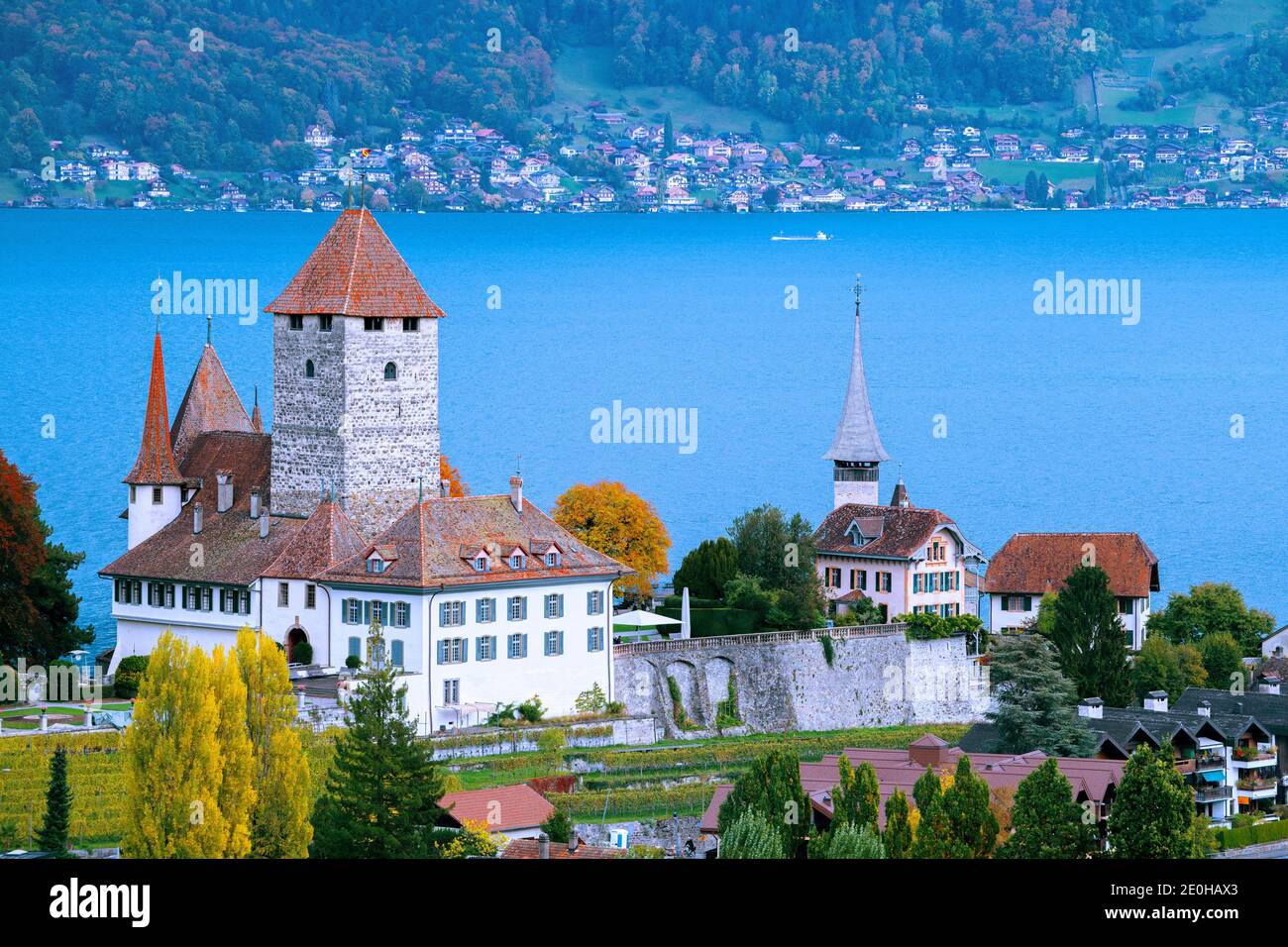 Castello di Spiez a Spiez (Svizzera) di fronte al Lago di Thun Foto Stock