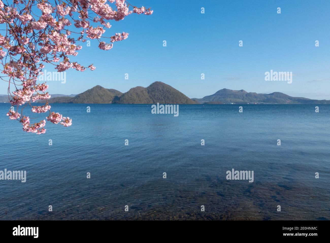 Fioritura dei ciliegi primaverili in Giappone che si affaccia sul lago Toya Foto Stock
