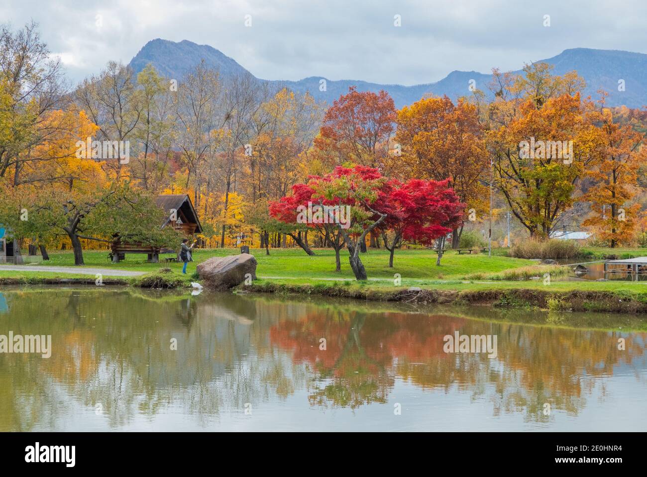 Riflessioni foglie in un lago durante l'autunno, sfondo di montagna Foto Stock