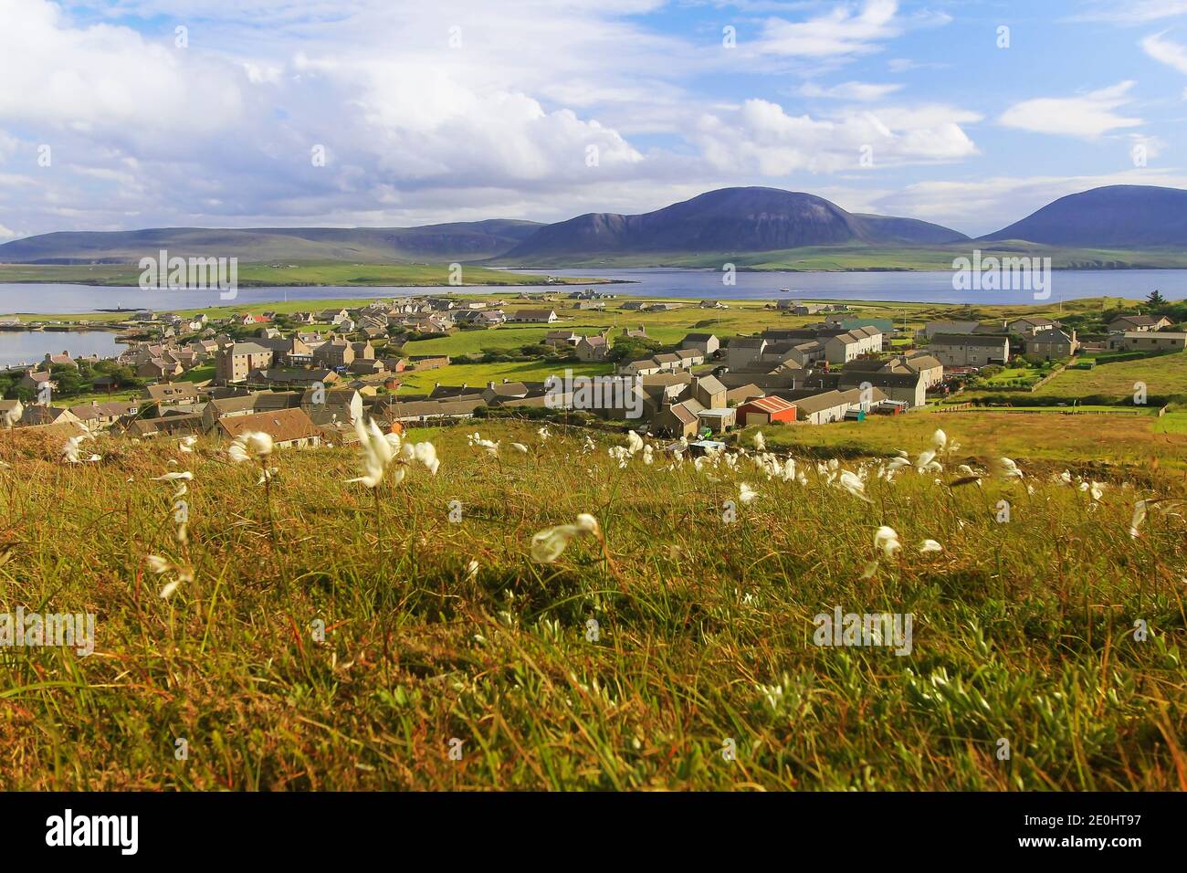 Vista aerea della città scozzese Stromness sulle isole Orkney con erba di cotone in primo piano il giorno d'estate Foto Stock