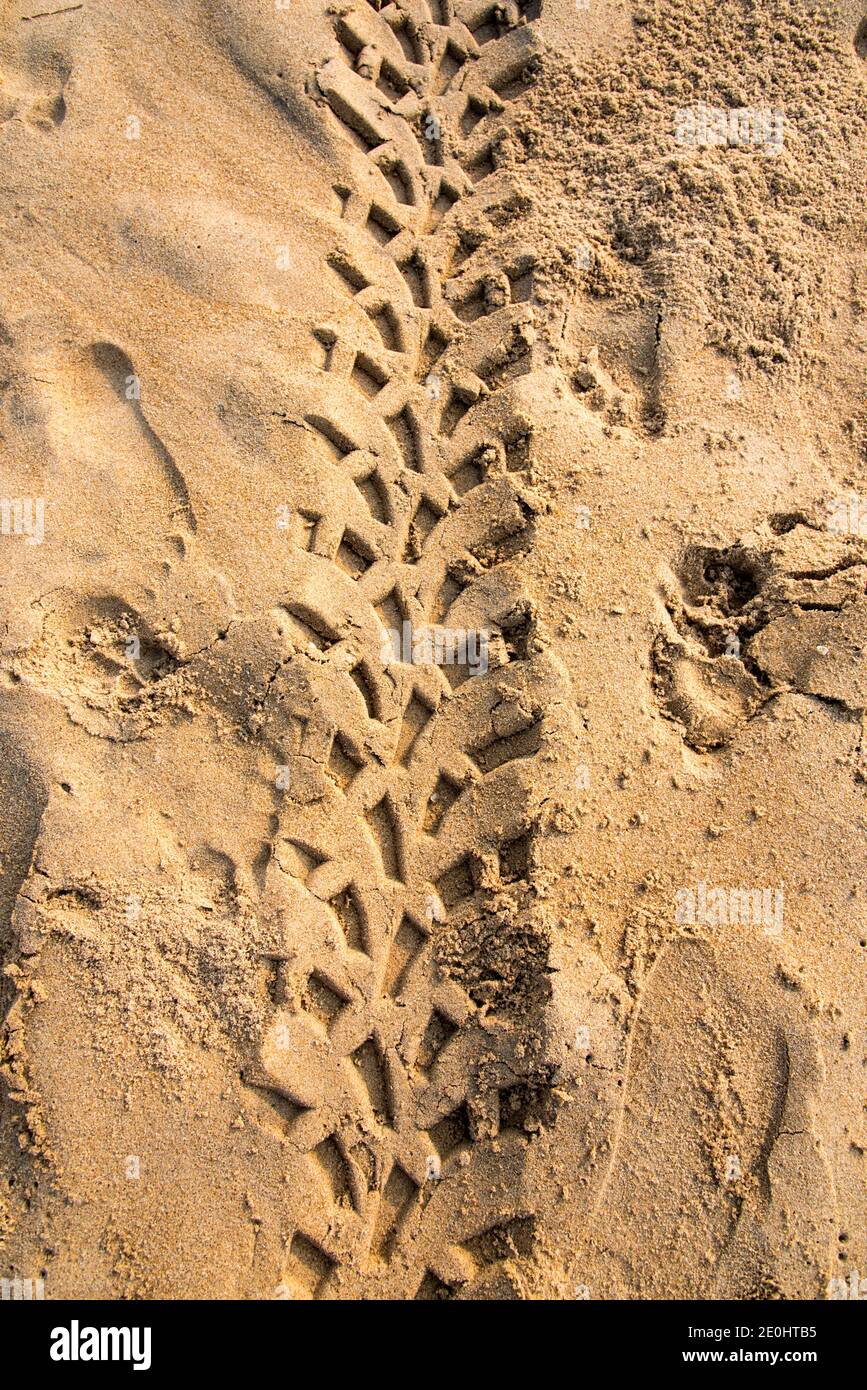 Contrassegni degli pneumatici del veicolo sulla sabbia Foto Stock